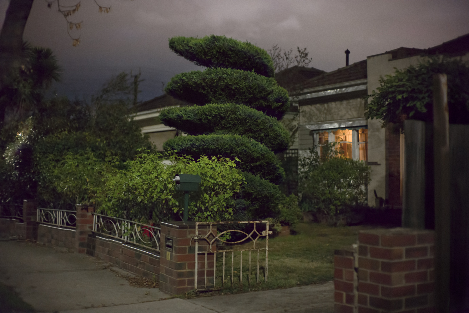 French Avenue topiary
